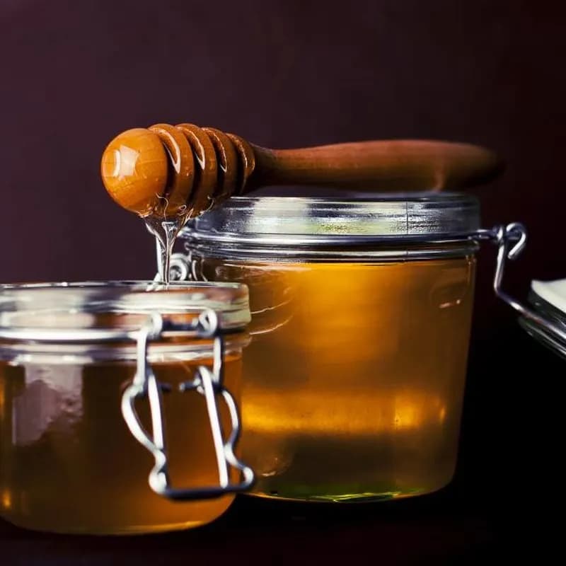 Raw Forest Honey (250 ml)