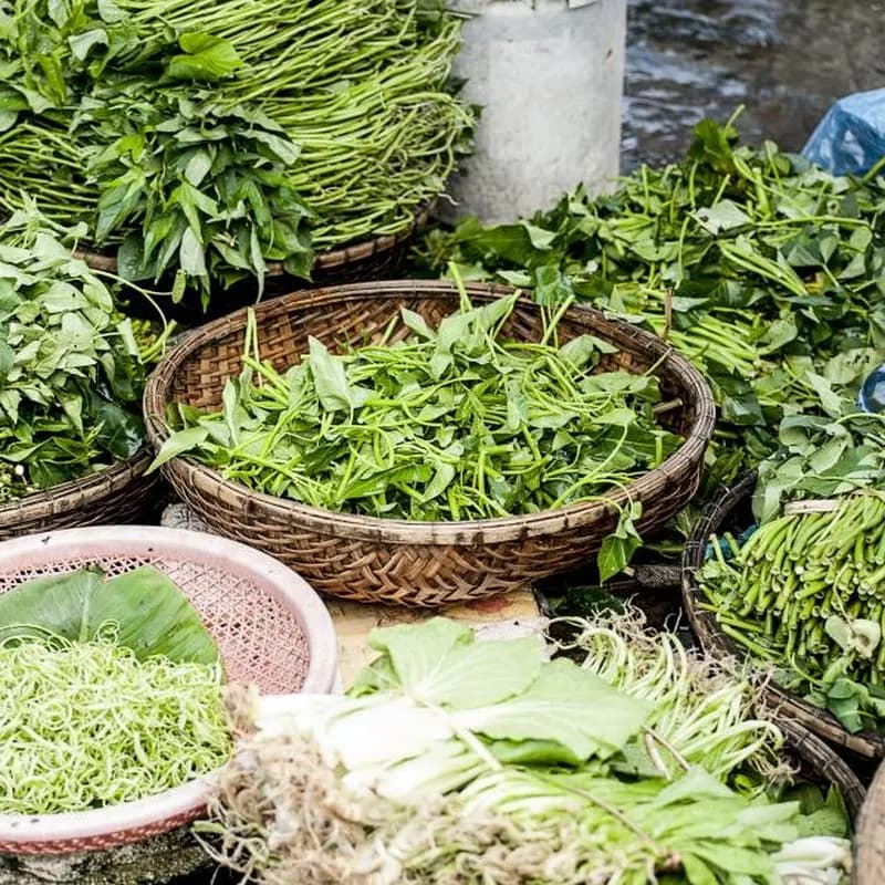 Water Spinach